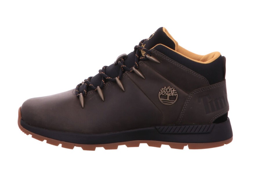 Manner Timberland Wandern & Trekking | Trekkingschuhe Grau